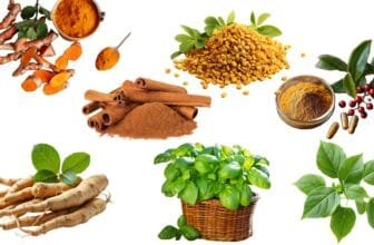 7 Best Herbs for Insulin Sensitivity
