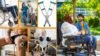 Mobility Aids