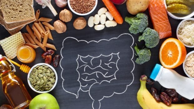 gut health diet plans