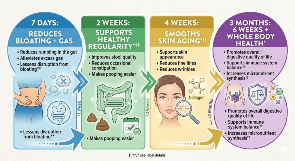 Daily Synbiotic benefits over time